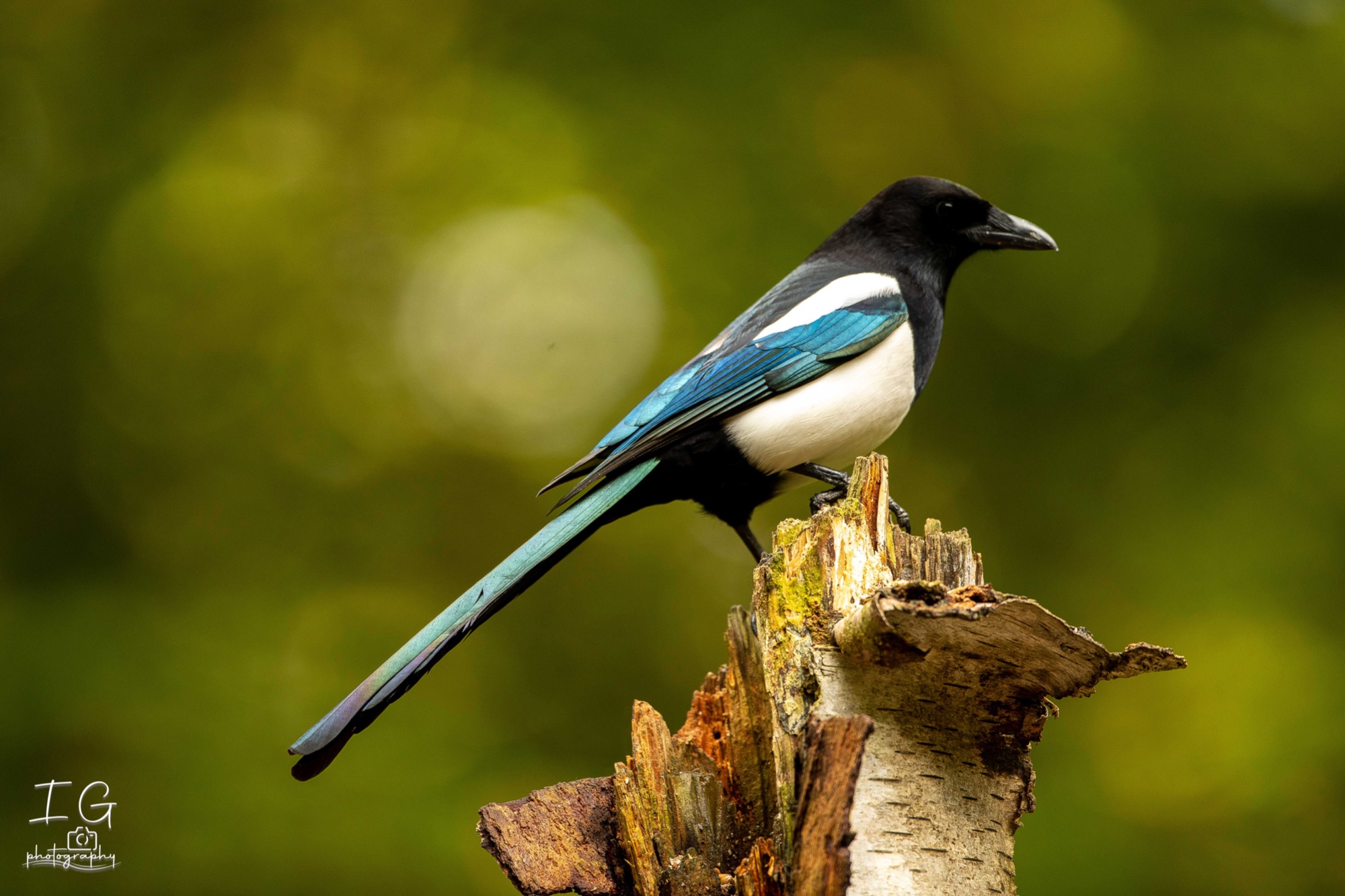 20211015  5D49118 instagram